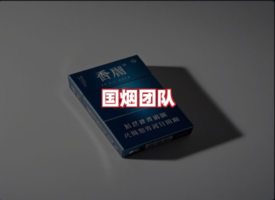 国烟团队